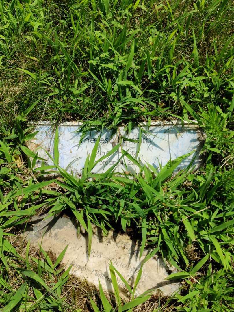 Theresa Ferreira's grave. Photo 3