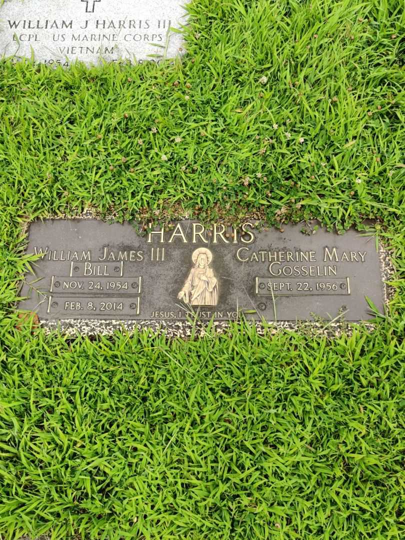 William James "Bill" Harris Third's grave. Photo 1