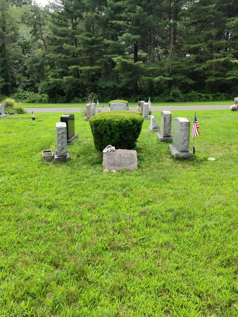 Kelsey Ann Anderson's grave. Photo 2