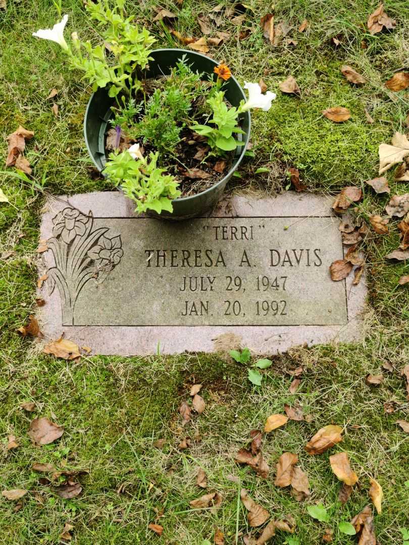 Theresa A. "Terri" Davis's grave. Photo 3