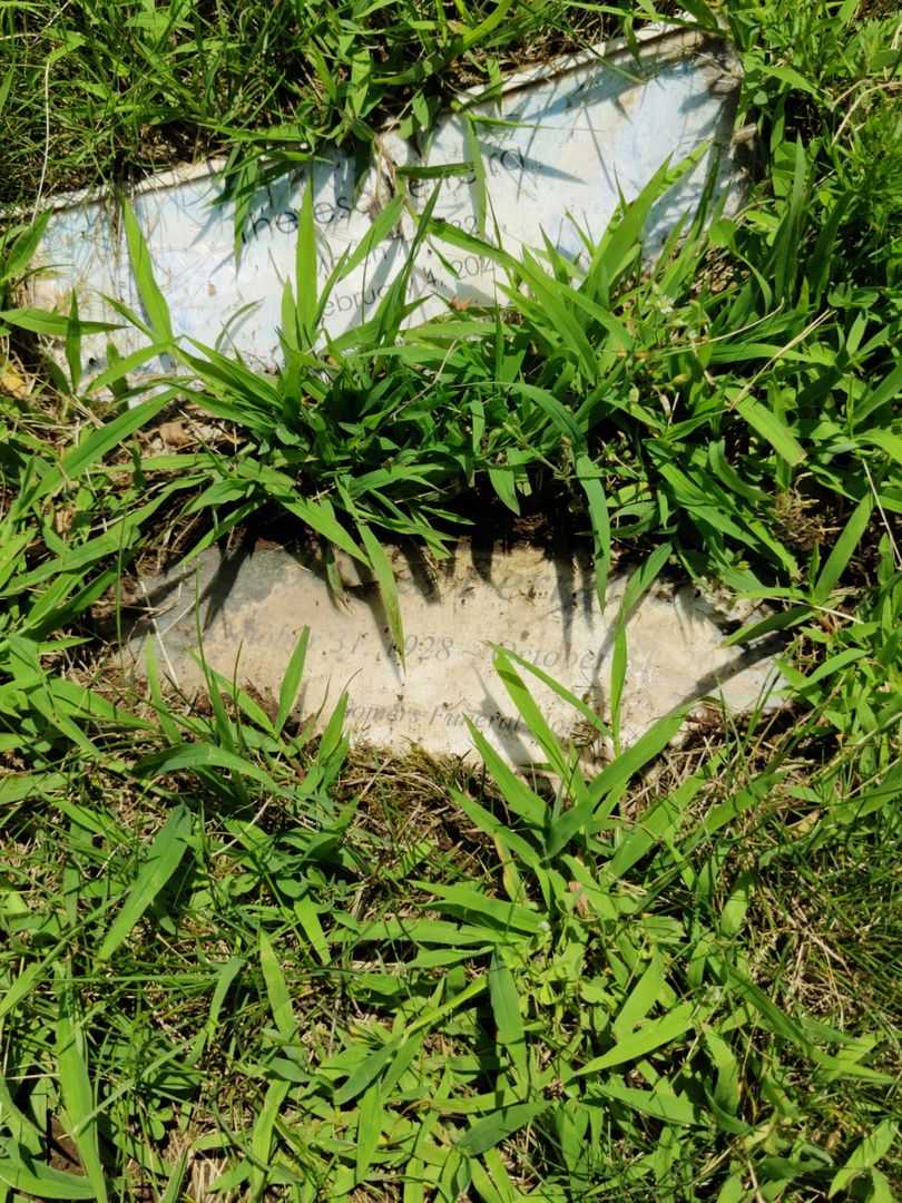 James Ferreira's grave. Photo 3