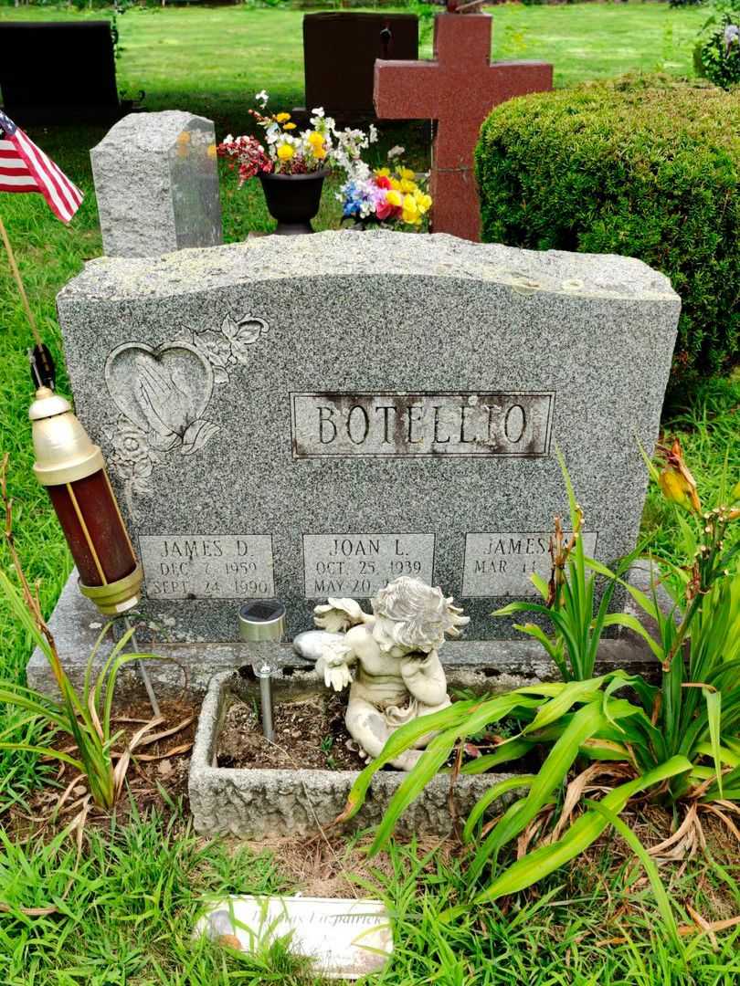 Thomas J. Fitzpatrick's grave. Photo 1