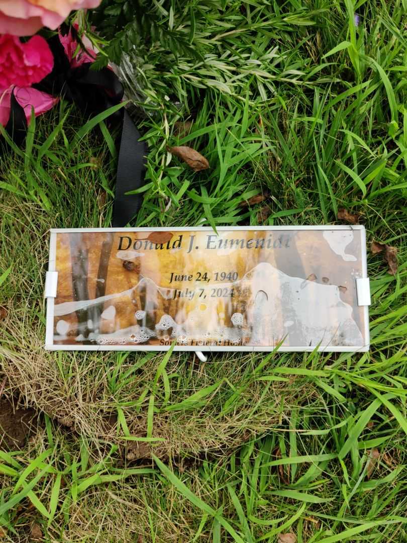 Donald J. Eumenidi's grave. Photo 1