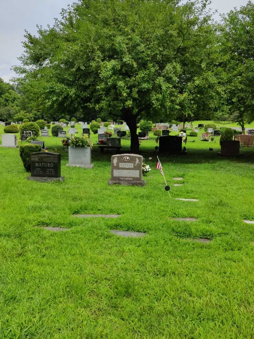 Gerald Lloyd Hannan's grave. Photo 2