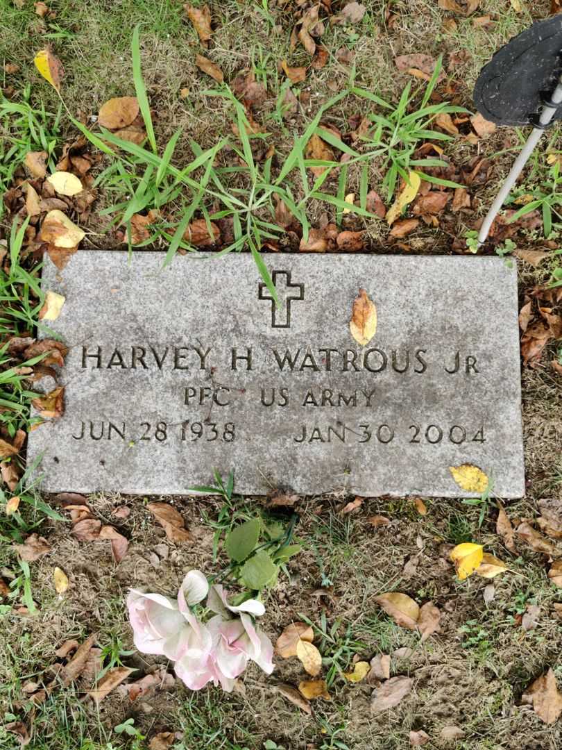 Harvey H. Watrous Junior's grave. Photo 1