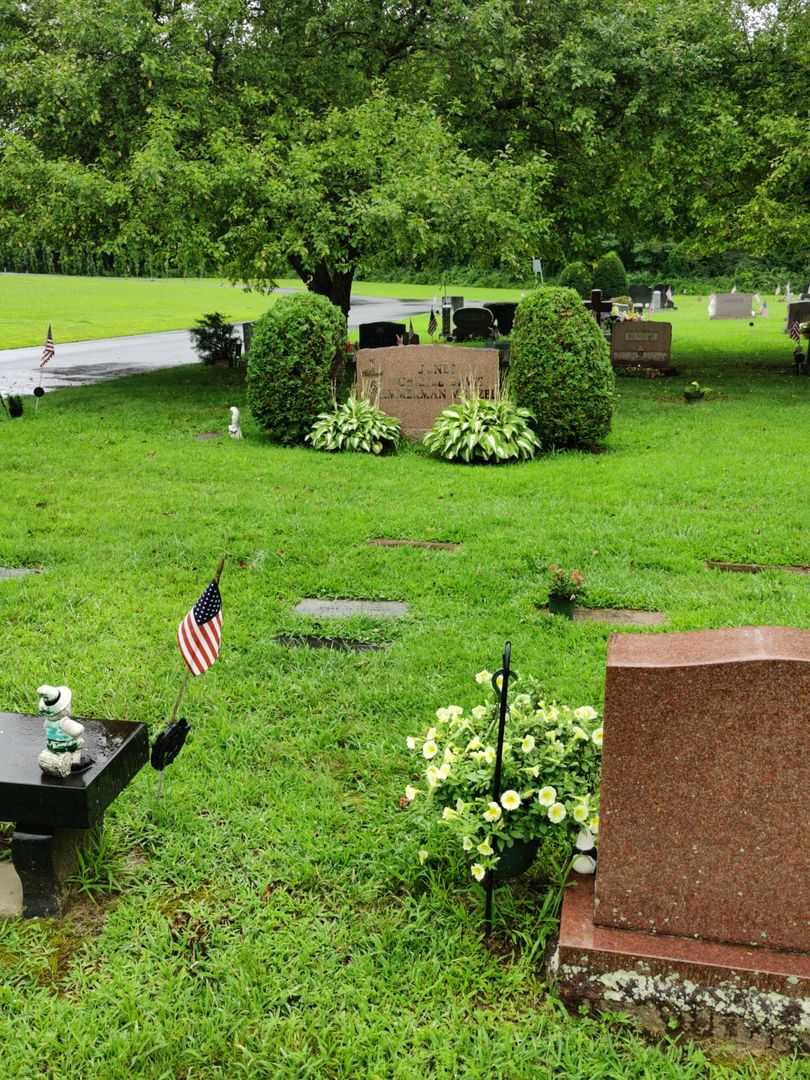 Carol Rita Ammerman Modzel's grave. Photo 2