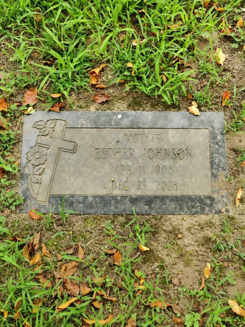 Esther Johnson's grave. Photo 1
