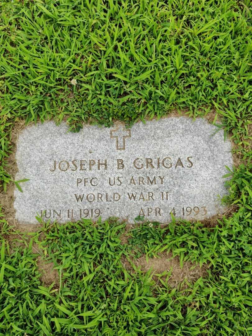 Joseph B. Grigas's grave. Photo 4