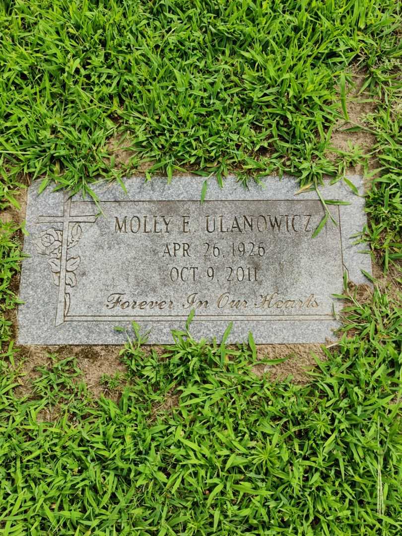 Joseph V. Ulanowicz's grave. Photo 1