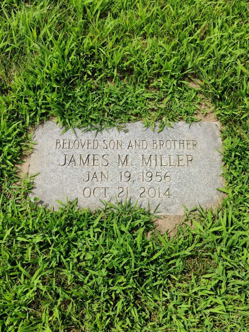 Lorraine M. Zipadelli's grave. Photo 4
