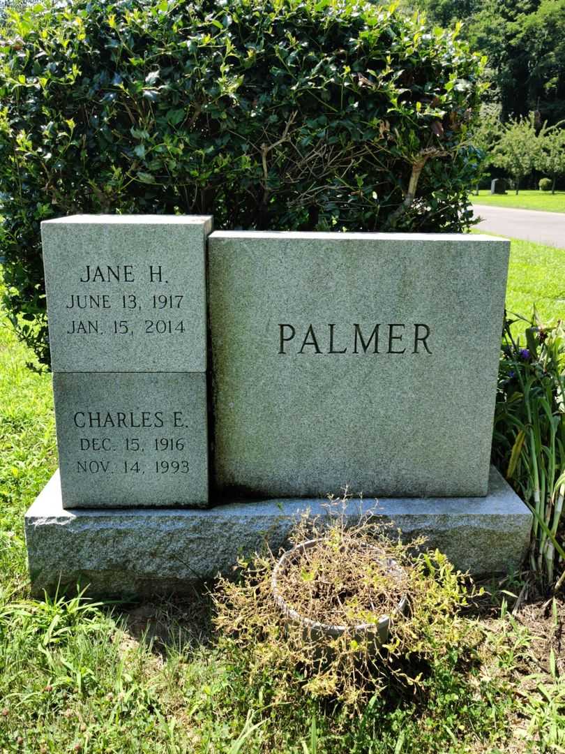 Jane H. Palmer's grave. Photo 1
