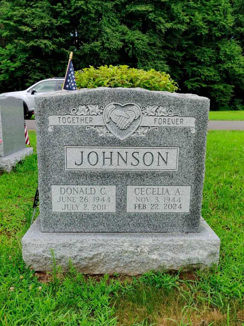 Cecelia A. Johnson's grave. Photo 1