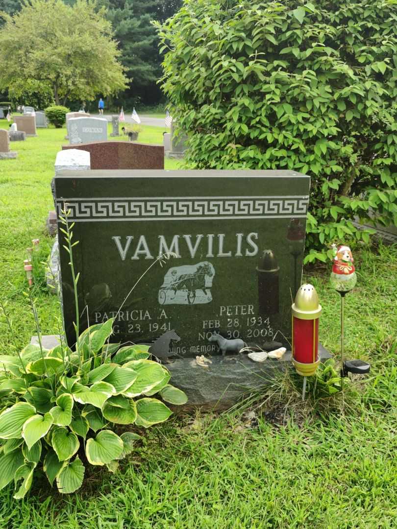 Peter Vamvilis's grave. Photo 1