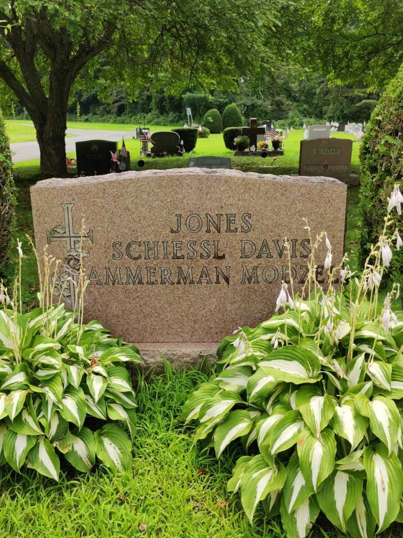 Theresa L. Ammerman's grave. Photo 1