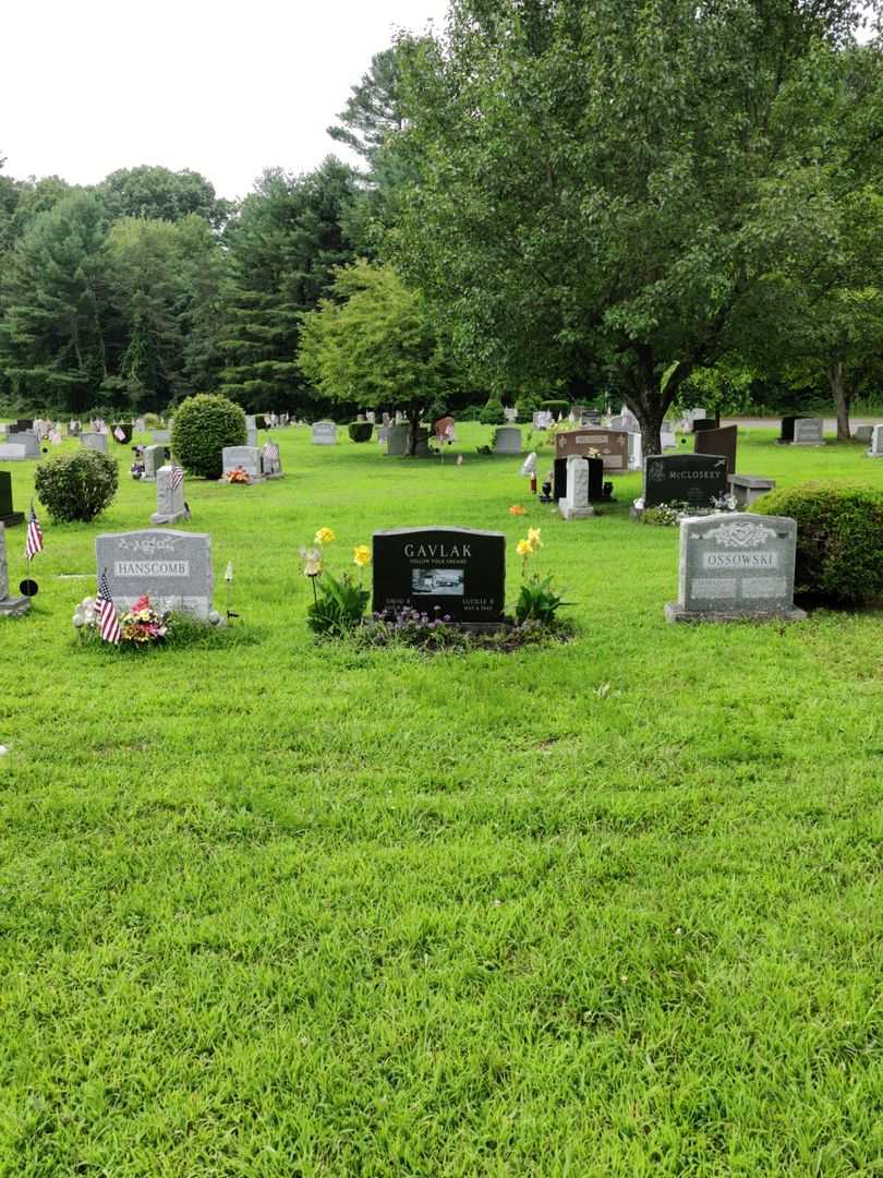 David R. Gavlak's grave. Photo 2