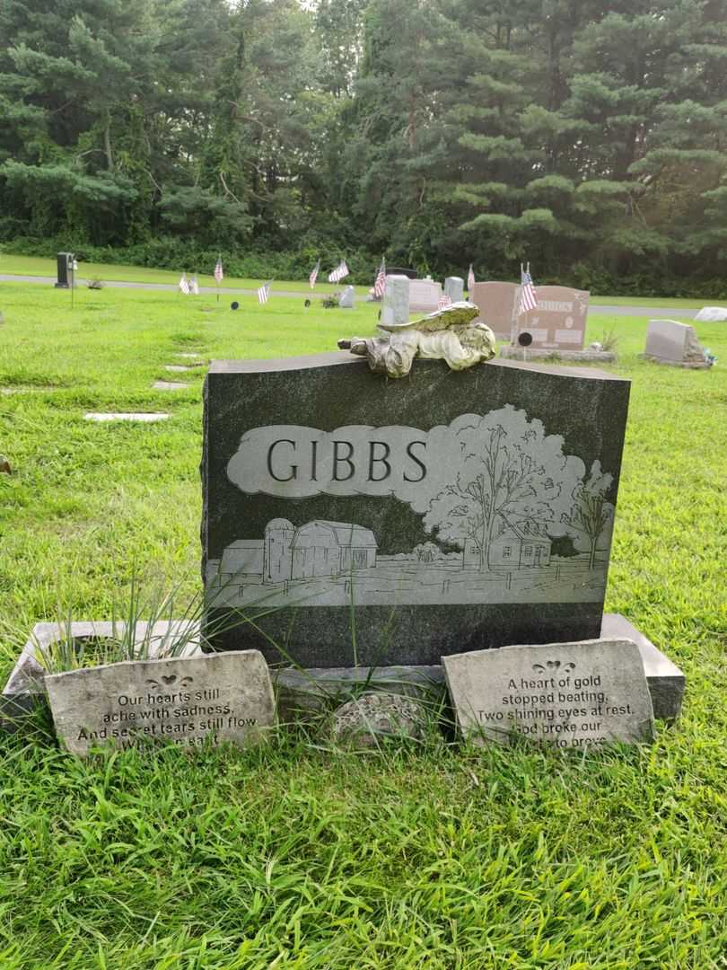 John Patrick Gibbs's grave. Photo 2