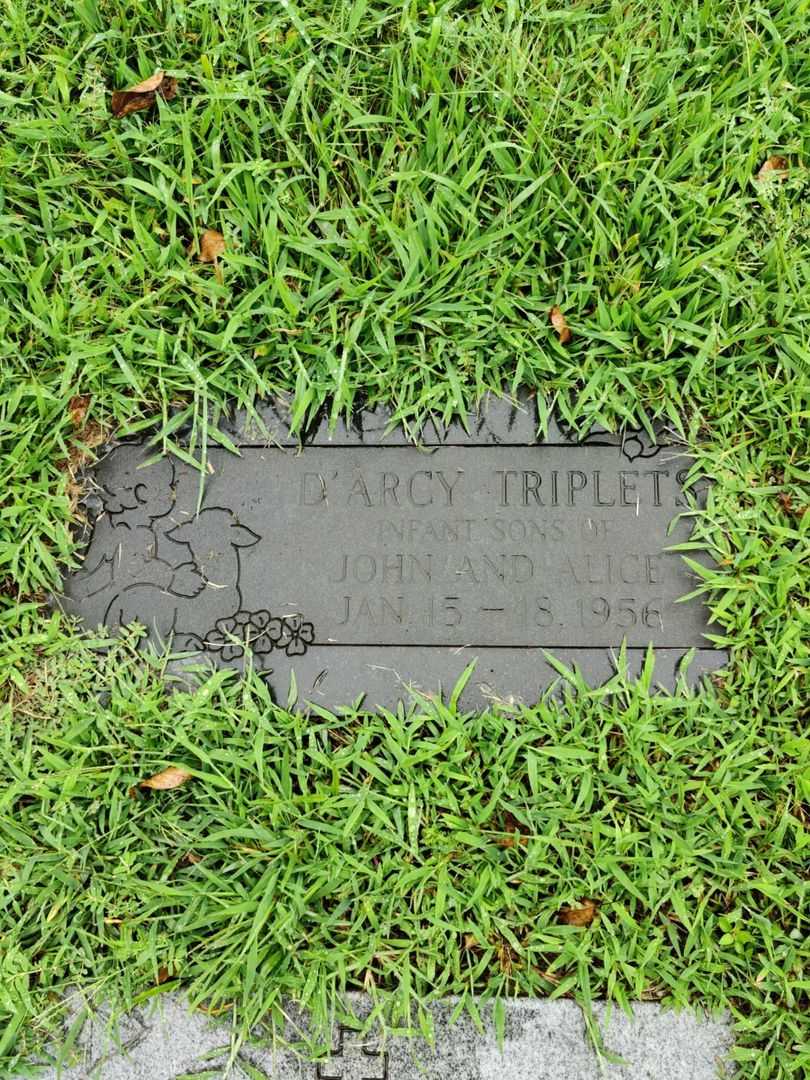 Baby Boy D`Arcy's grave. Photo 6
