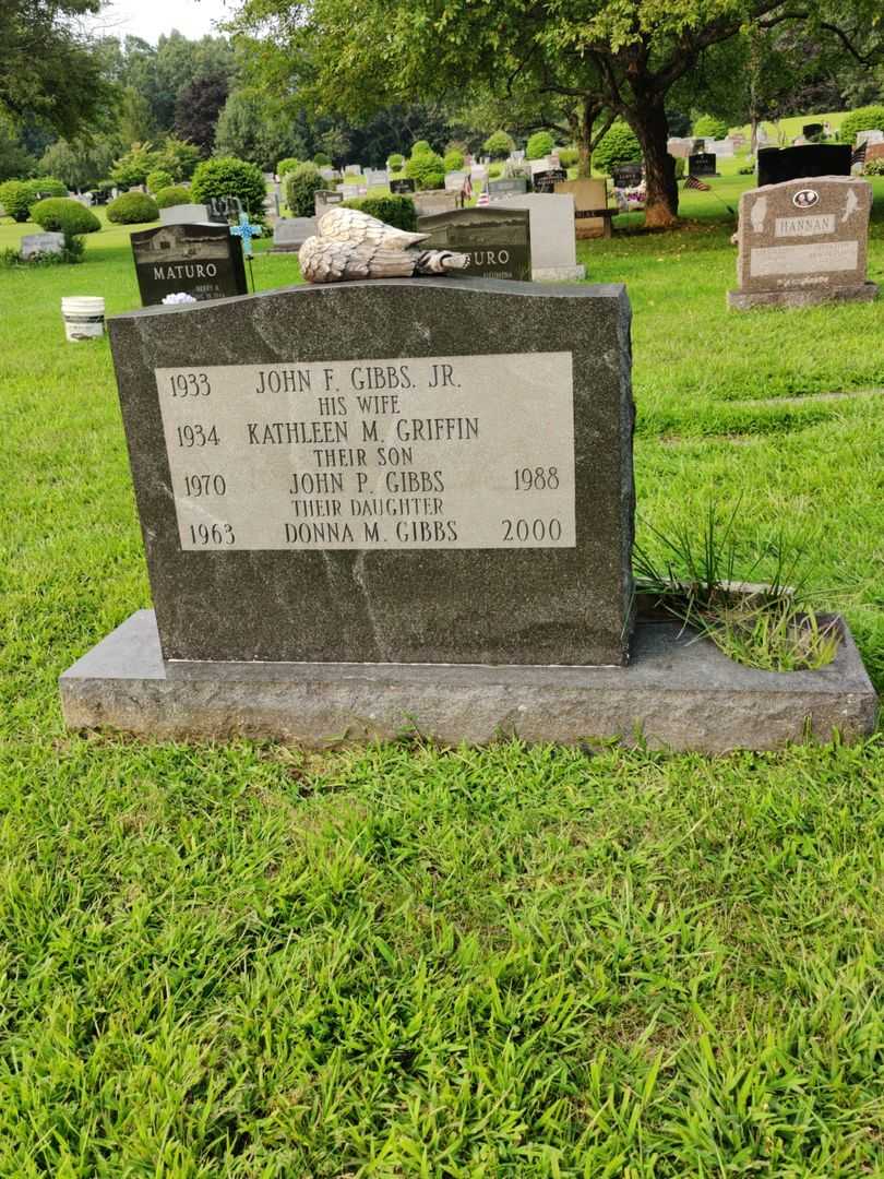 John Patrick Gibbs's grave. Photo 1