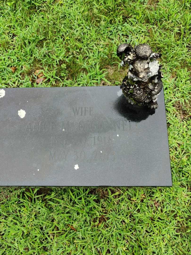 Alice M. O`Connel D`Arcy's grave. Photo 3